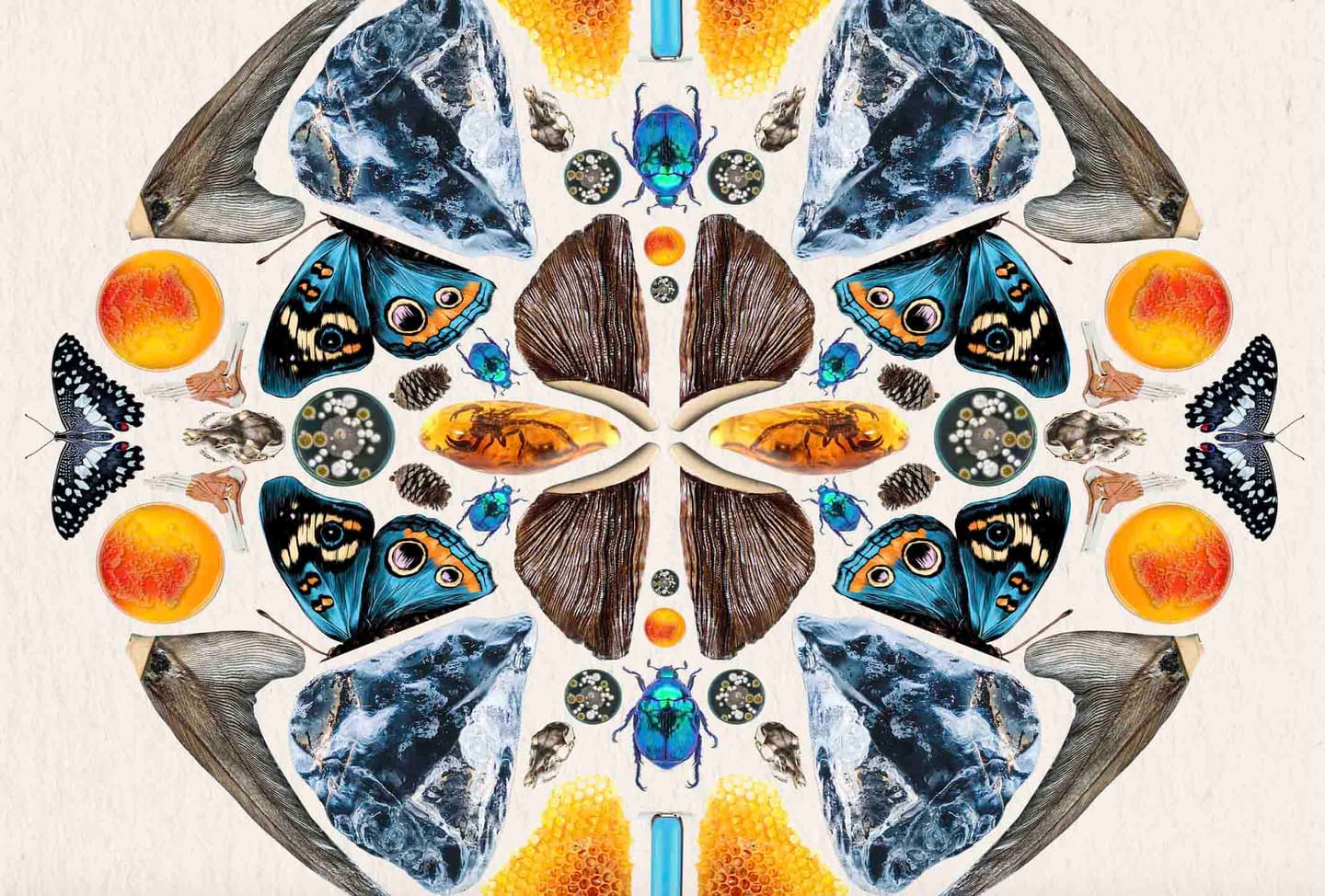 Symmetrical kaleidoscope artwork featuring blue butterflies, iridescent beetles, crystals, and orange circles in a mandala pattern.