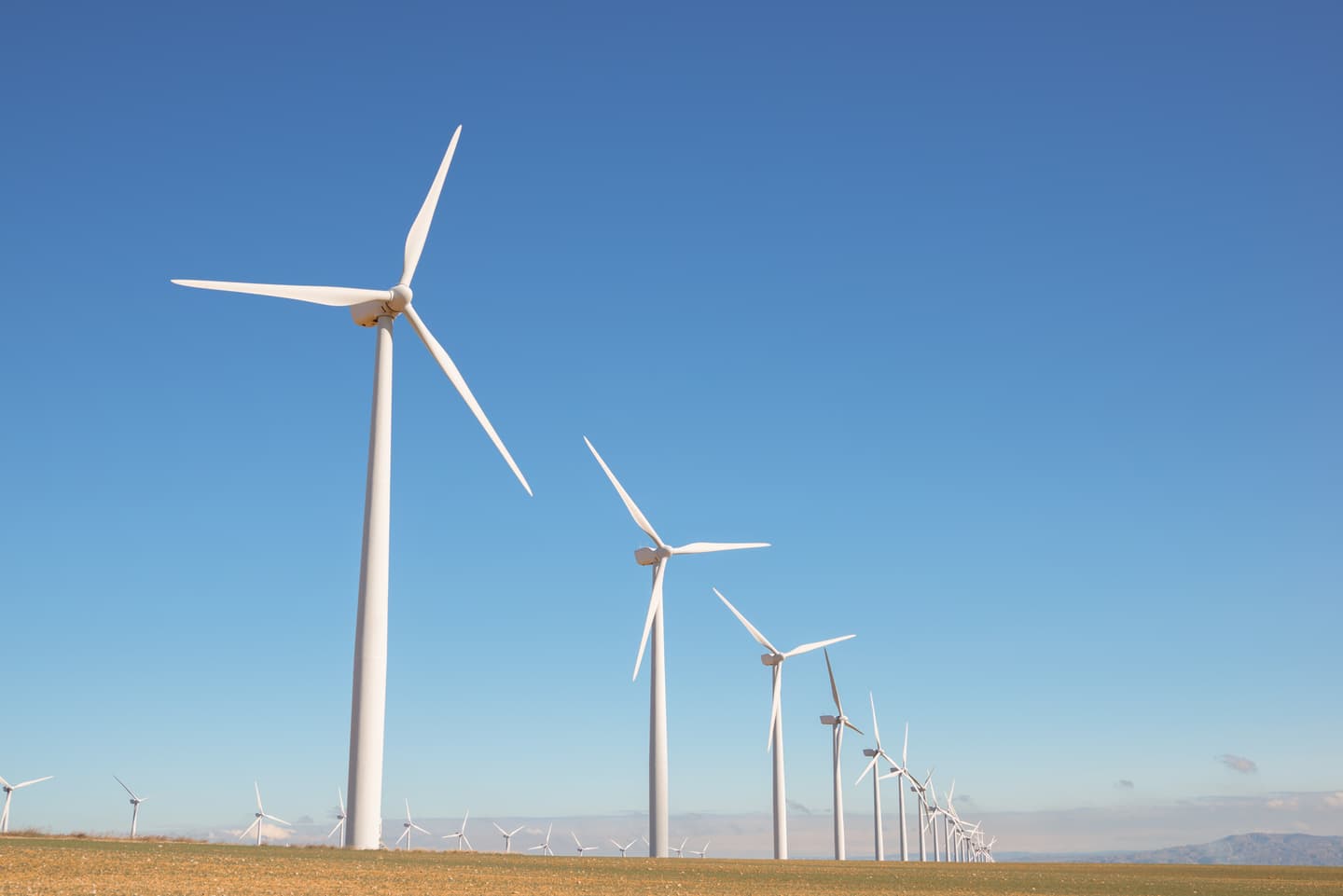 White wind turbines in a row across a flat landscape against a clear blue sky, generating renewable energy.